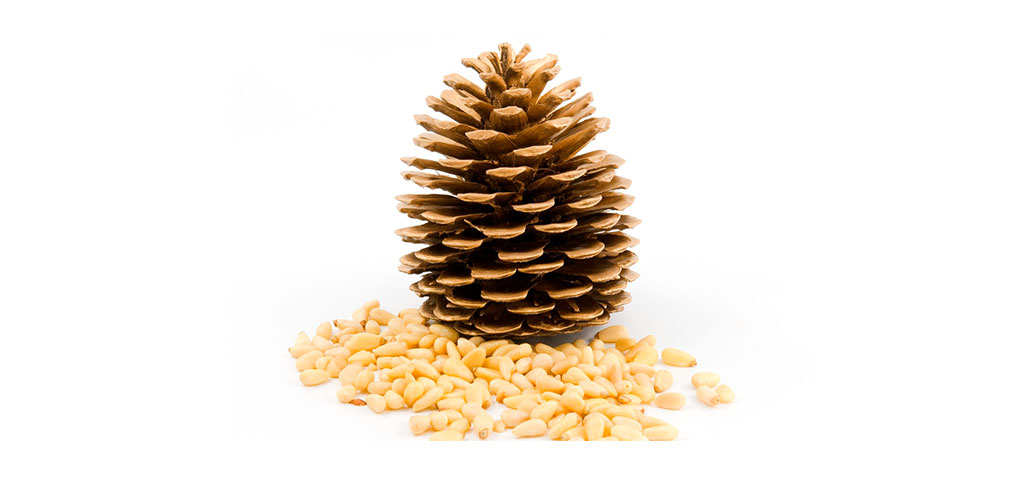 Pinoli (snoubard)